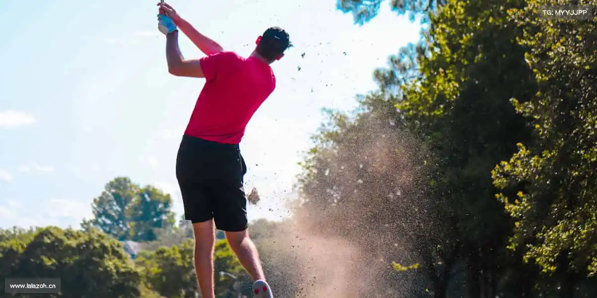 为什么选择我们